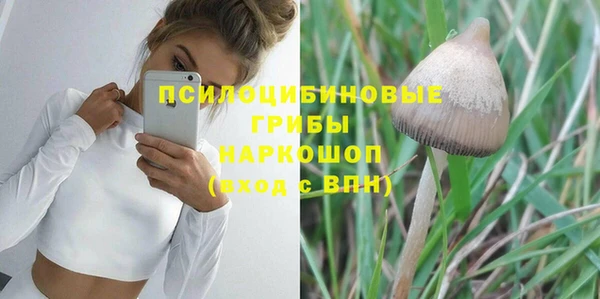 a pvp Михайловск