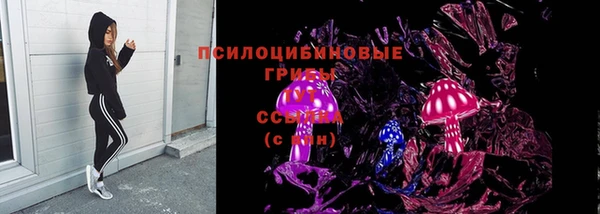 кокс Михайлов